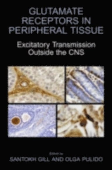 bokomslag Glutamate Receptors in Peripheral Tissue