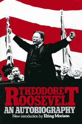 bokomslag Theodore Roosevelt