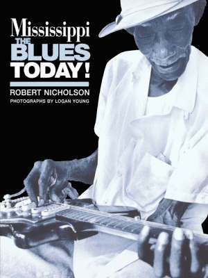 bokomslag Mississippi Blues Today