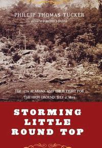 bokomslag Storming Little Round Top
