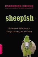 Sheepish 1