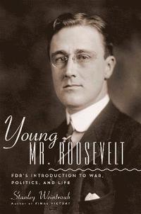 bokomslag Young Mr. Roosevelt