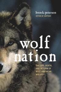 bokomslag Wolf Nation