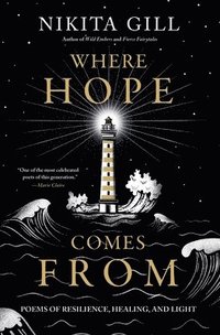 bokomslag Where Hope Comes from : Poems of Resilience, Healing, and Light