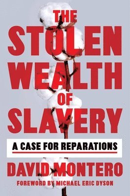 David Montero - The Stolen Wealth of Slavery, Inbunden