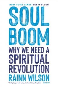 bokomslag Soul Boom