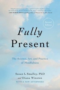 bokomslag Fully Present : The Science, Art, and Practice of Mindfulness