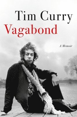 bokomslag Vagabond