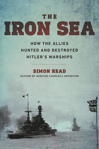 bokomslag Iron Sea
