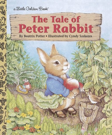 Beatrix Potter - Tale of Peter Rabbit, Inbunden