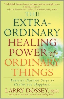 bokomslag The Extraordinary Healing Power of Ordinary Things