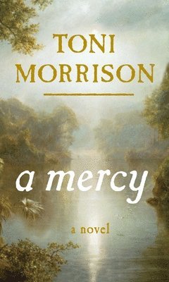 Toni Morrison - A Mercy, Inbunden
