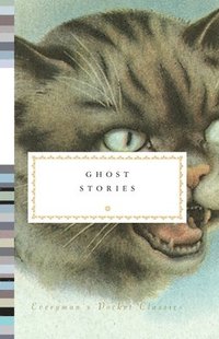 bokomslag Ghost Stories