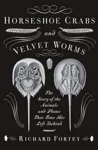 bokomslag Horseshoe Crabs and Velvet Worms