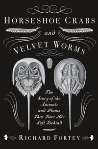 bokomslag Horseshoe Crabs and Velvet Worms: The Story of the Animals and Plants That Time Has Left Behind