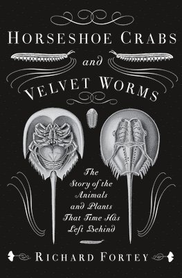 bokomslag Horseshoe Crabs and Velvet Worms