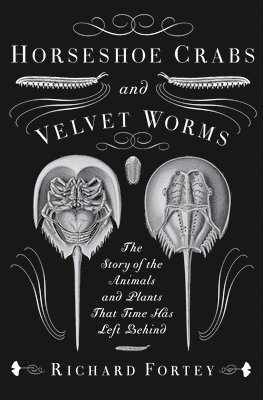 Horseshoe Crabs and Velvet Worms: The Story of the Animals and Plants That Time Has Left Behind 1