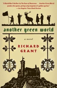 bokomslag Grant, R: Another Green World