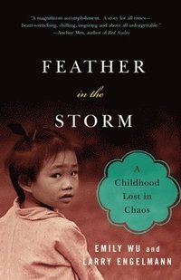 bokomslag Feather in the Storm: A Childhood Lost in Chaos