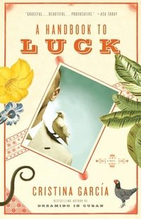 bokomslag A Handbook to Luck