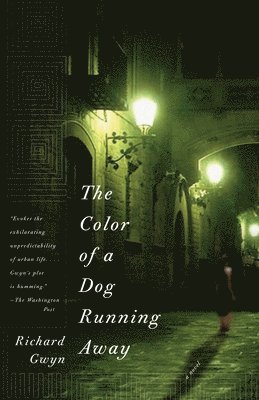 The Color of a Dog Running Away