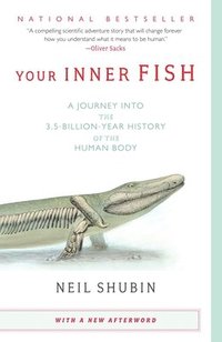 bokomslag Your Inner Fish: A Journey Into the 3.5-Billion-Year History of the Human Body