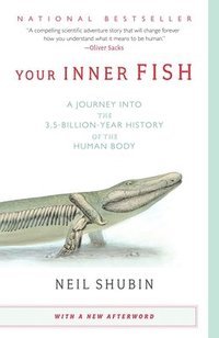 bokomslag Your Inner Fish: A Journey into the 3.5-Billion-Year History of the Human Body