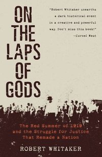 bokomslag On the Laps of Gods: The Red Summer of 1919 and the Struggle for Justice That Remade a Nation