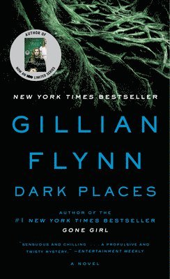 Gillian Flynn - Dark Places, Häftad