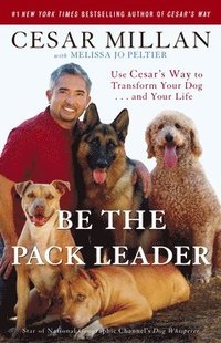 bokomslag Be the Pack Leader: Use Cesar's Way to Transform Your Dog... and Your Life