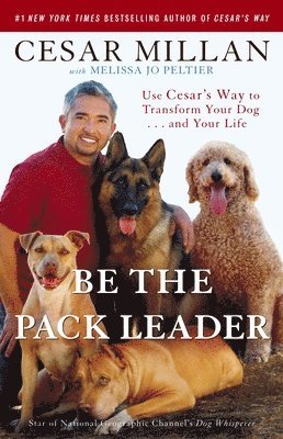 bokomslag Be the Pack Leader: Use Cesar's Way to Transform Your Dog... and Your Life