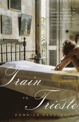 Domnica Radulescu - Train to Trieste, Häftad