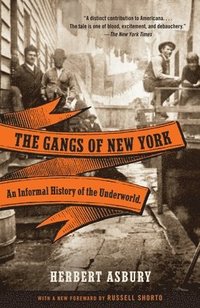bokomslag The Gangs of New York