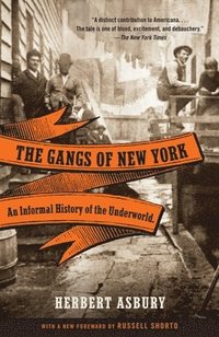 bokomslag The Gangs of New York: An Informal History of the Underworld