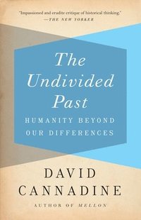 bokomslag The Undivided Past: Humanity Beyond Our Differences