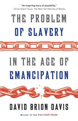 bokomslag The Problem of Slavery in the Age of Emancipation