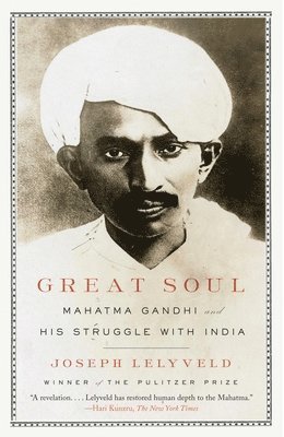 bokomslag Great Soul: Mahatma Gandhi and His Struggle with India