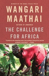 bokomslag The Challenge for Africa