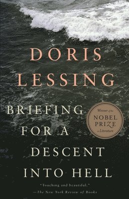 Briefing for a Descent Into Hell: A Psychological Thriller 1