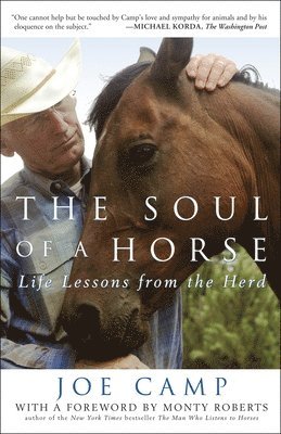 The Soul of a Horse 1