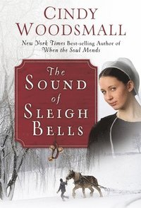 bokomslag The Sound of Sleigh Bells