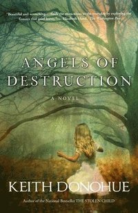 bokomslag Angels of Destruction