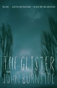bokomslag The Glister