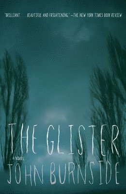 The Glister 1