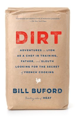 bokomslag Dirt