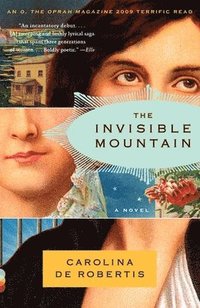 bokomslag The Invisible Mountain