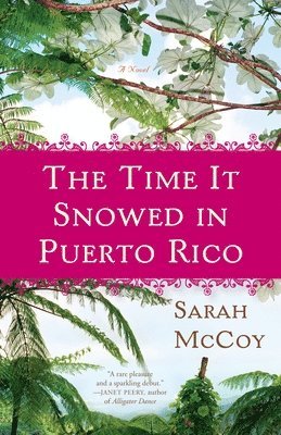 bokomslag The Time It Snowed in Puerto Rico