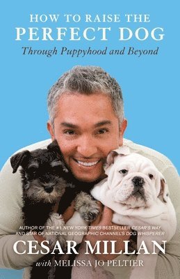 Cesar Millan, Melissa Jo Peltier - How to Raise the Perfect Dog: Through Puppyhood and Beyond, Häftad