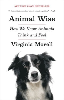 Animal Wise 1