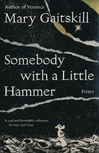 bokomslag Somebody with a Little Hammer: Essays